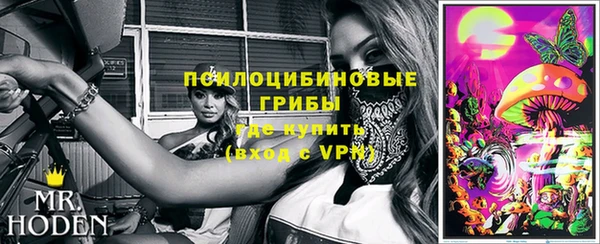ПСИЛОЦИБИНОВЫЕ ГРИБЫ Зеленокумск