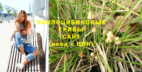 a pvp Зеленодольск
