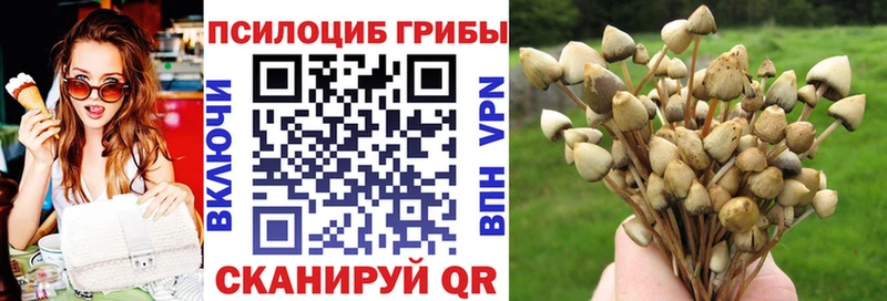 Купить где  Елабуга  Галлюциногенные грибы мухоморы 